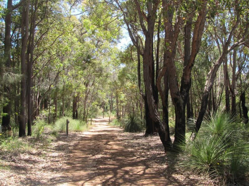 Lodge Hidden Valley Forest Retreat Carbunup